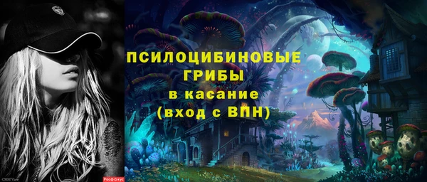 стаф Армянск