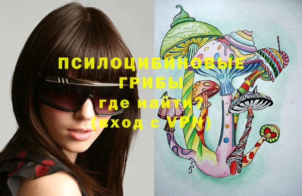 мяу мяу мука Аркадак